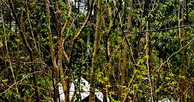 Terreno com 378m² em Nova Petrópolis