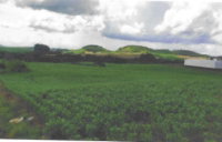 Lote Rural com 419.086,50 m² em Iraceminha/SC