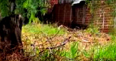 Terreno 600m² na Vila Regina em Nova Esperança/PR