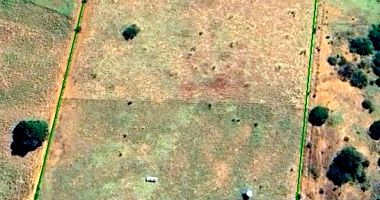 Imóvel Rural com 35ha em Palmas de Monte Alto/BA