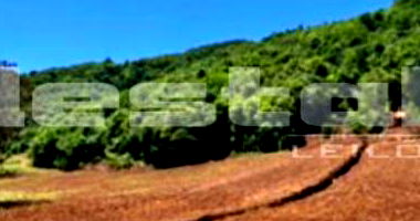 Terreno com 125.000m² em Paim Filho/RS