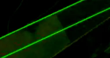 Terreno rural de 200 hectares ocupado, ideal para investimento