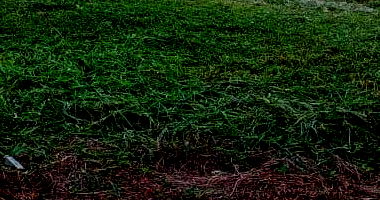 Terreno Urbano em Terra Roxa - 250 m² Desocupado