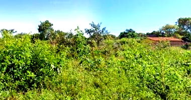 Terreno com 300m² em Piripiri/PI