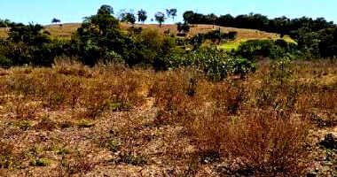 Gleba de Terras de 30,20 hectares em Uruaçu/GO
