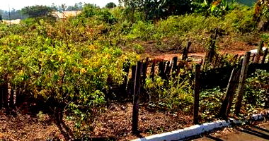 Direitos sobre Imóvel em Umuarama/PR - Avenida dos Girassois