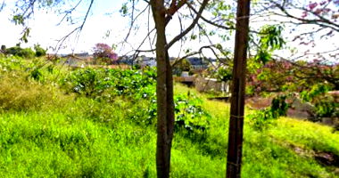 Terreno com 603,85m2 em Arapongas-PR