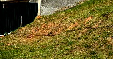 Terreno Desocupado de 361m² no Sítio do Rosário