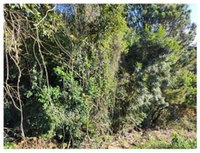 Terreno de 1.072,50 m² em Piraquara/PR, sem benfeitorias
