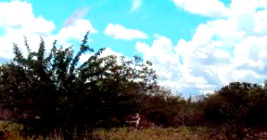 Área Rural com 101,64 Hectares em Santa Maria da Boa Vista/PE