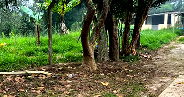 Chácara com 230m² construída, 27.200m² de terreno, 3 quartos