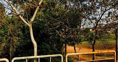 Terreno amplo em Estância Grande - Ideal para investimento