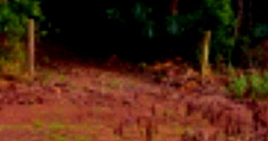 Terreno Urbano com 360m² em Diamante do Sul/PR