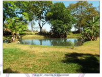 Fazenda Mariana com 1.057 hectares para criação de gado