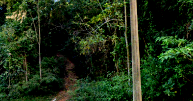 Sítio c/ 31,77 hectares em Poços de Caldas/MG