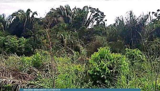 Imóvel Rural com 418 hectares, área ampla e desocupado