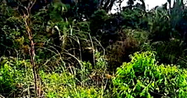 Imóvel Rural com 418 hectares, área ampla e desocupado