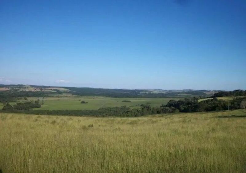 Imóvel Rural com Casa Sede e Casa para Colonos, 47.9 ha