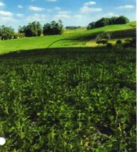Campo de 9,4397 hectares, ideal para investimento rural