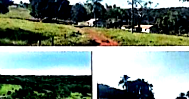 Fazenda com 181,40 hectares em Pedro Gomes/MS, área para cultura