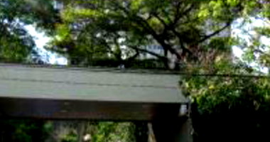 Vaga de Garagem em Leilão - Vila Suzanna, São Paulo