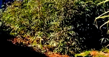 Terreno com 228,12m² em Lunardelli/PR