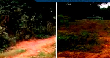 Terreno amplo com 51.581 m², ocupado, desocupação por conta do comprador