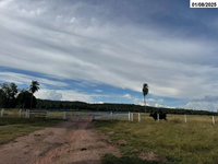 Grande Fazenda c/ 1.316,60 ha - Porto Esperidião/MT