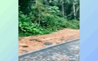 Terreno de 5.533m² com potencial para empreendimento residencial