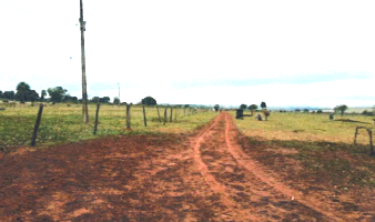 Fazenda de 103ha em Tacuru/MS