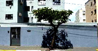 Apartamento 50,91m² com 1 vaga, 3º andar, desocupado
