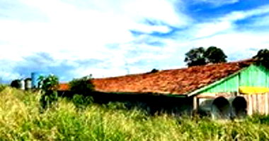 Parte ideal de Lote Rural com aviários e casa em construção