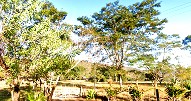 Terreno Rural com 236,2149 Hectares em Claraval/MG