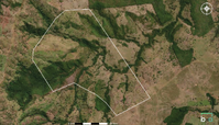 Fazenda com 306ha em Colinas do Tocantins/TO