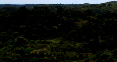 Imóvel Rural com 80,55 hectares à Margem da BR 277