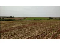 Sítio N. S. Aparecida com 15,35 hectares em Formosa do Oeste
