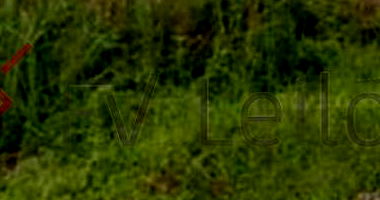 Espaçoso Terreno de 368,75 m² para Desenvolvimento