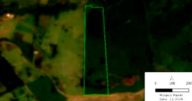 Gleba Rural Ocupada em Nova Tebas/PR - 6,05 Hectares