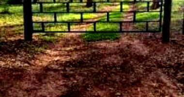 Gleba Rural com 72.600m² - Área Ideal para Investimento Agrícola