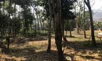 Terreno de 5.620m² em Itapeti