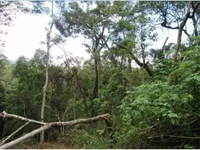 Terreno em Mairipor - Lote 10 da Quadra A
