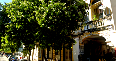 Prédio Comercial na Glória, 1 banheiro