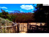 Sítio com 76,25 hectares e casas em Santa Quitéria/CE