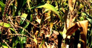 Terreno com 643m² em Nonoai/RS