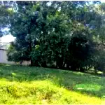 Terreno trapezoidal 334 m² no Jardim Carvalho, Ponta Grossa
