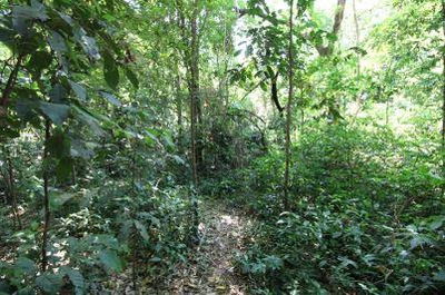 Terreno Urbano de 4.919,10 m² em Foz do Iguaçu