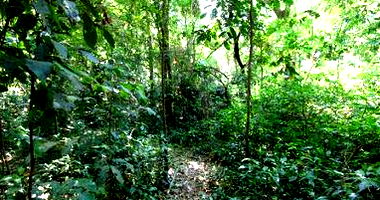 Terreno Urbano de 4.919,10 m² em Foz do Iguaçu