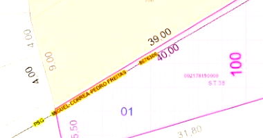 Terreno com 353,40m² em declive acentuado com árvores