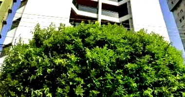 Apartamento Duplex com 3 Quartos e 3 Vagas em Leilão