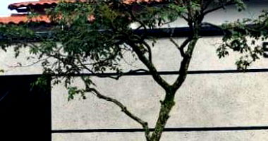 Casa com 206m² de área construída em Uberlândia/MG